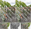 Evenement foto: Nijmeegse Vierdaagse 909
