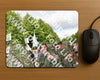 Evenement foto: Nijmeegse Vierdaagse 909