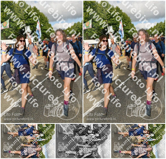 Evenement foto: Nijmeegse Vierdaagse 909