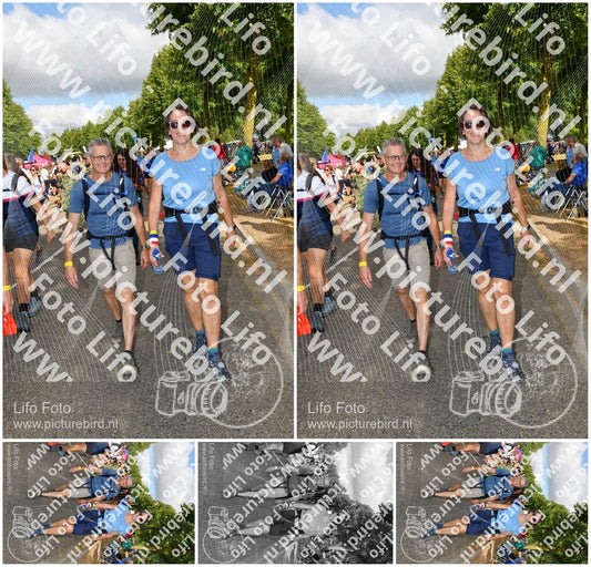 Evenement foto: Nijmeegse Vierdaagse 909