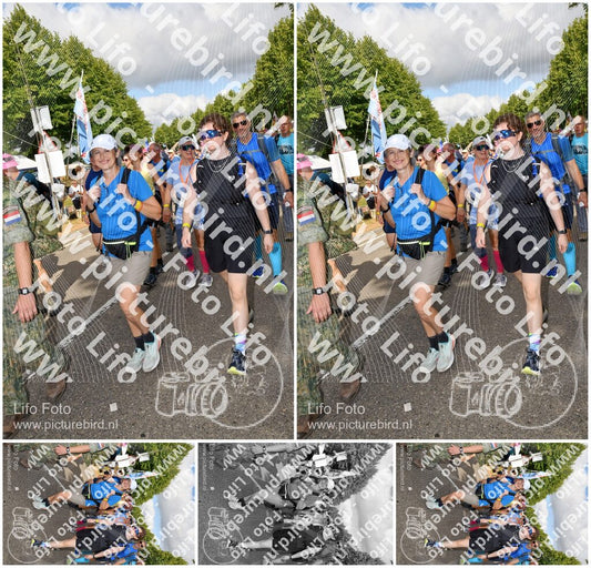 Evenement foto: Nijmeegse Vierdaagse 909
