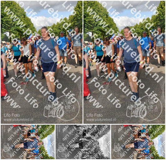 Evenement foto: Nijmeegse Vierdaagse 909