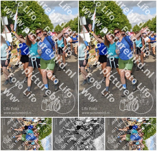Evenement foto: Nijmeegse Vierdaagse 909
