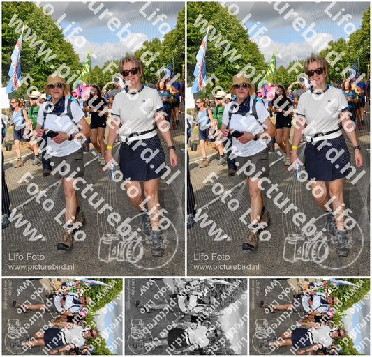 Evenement foto: Nijmeegse Vierdaagse 909