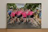 Evenement foto: Nijmeegse Vierdaagse 909