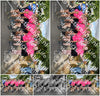 Evenement foto: Nijmeegse Vierdaagse 909