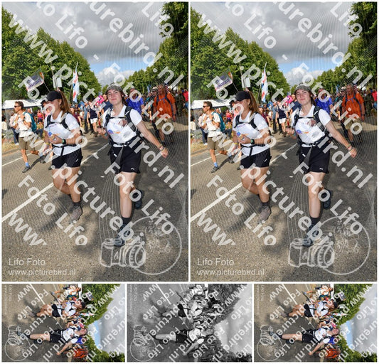Evenement foto: Nijmeegse Vierdaagse 909