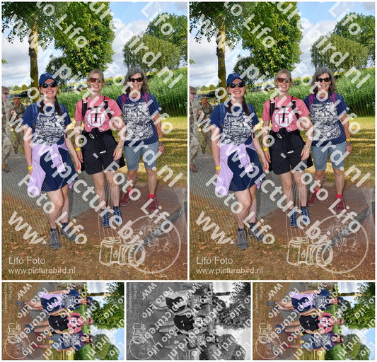 Evenement foto: Nijmeegse Vierdaagse 909