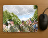 Evenement foto: Nijmeegse Vierdaagse 909