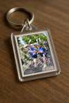Evenement foto: Nijmeegse Vierdaagse 909