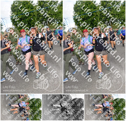 Evenement foto: Nijmeegse Vierdaagse 908