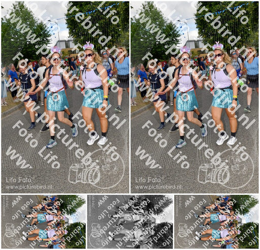 Evenement foto: Nijmeegse Vierdaagse 908