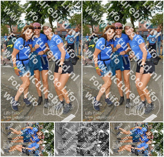 Evenement foto: Nijmeegse Vierdaagse 908
