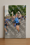 Evenement foto: Nijmeegse Vierdaagse 908