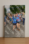 Evenement foto: Nijmeegse Vierdaagse 908
