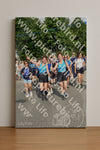 Evenement foto: Nijmeegse Vierdaagse 908