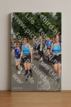 Evenement foto: Nijmeegse Vierdaagse 908