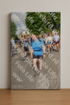 Evenement foto: Nijmeegse Vierdaagse 908