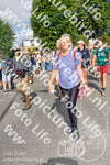 Evenement foto: Nijmeegse Vierdaagse 908