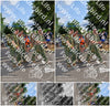 Evenement foto: Nijmeegse Vierdaagse 908