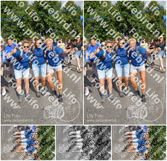 Evenement foto: Nijmeegse Vierdaagse 908