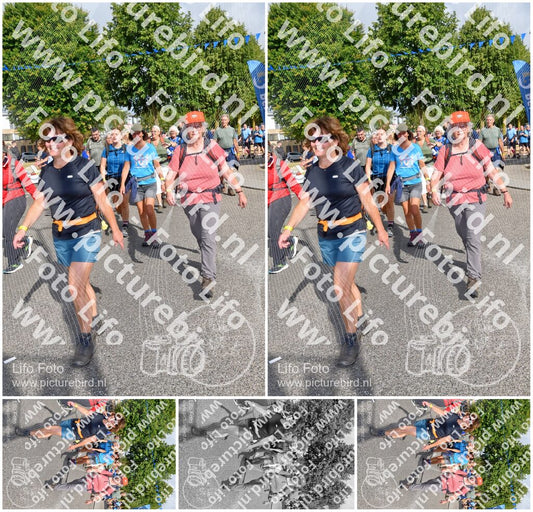 Evenement foto: Nijmeegse Vierdaagse 908