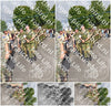 Evenement foto: Nijmeegse Vierdaagse 908