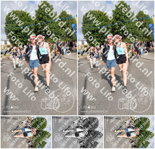 Evenement foto: Nijmeegse Vierdaagse 908