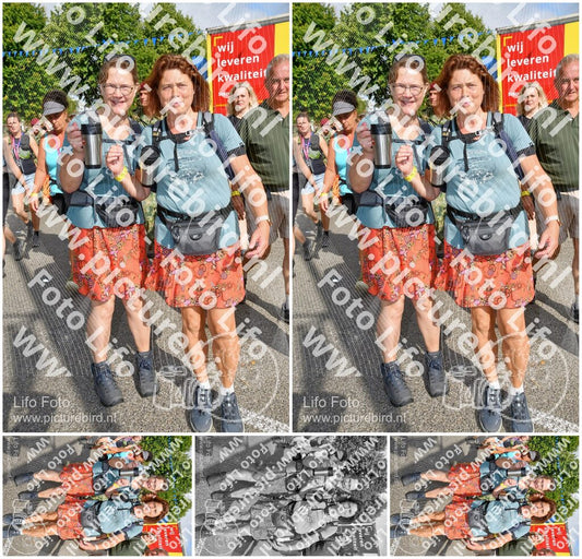 Evenement foto: Nijmeegse Vierdaagse 908