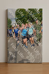Evenement foto: Nijmeegse Vierdaagse 908