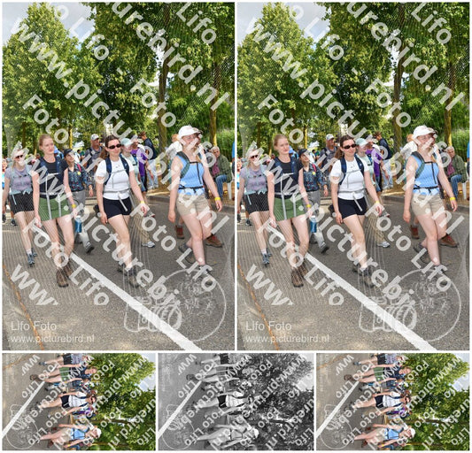 Evenement foto: Nijmeegse Vierdaagse 908