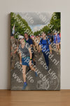 Evenement foto: Nijmeegse Vierdaagse 908