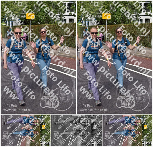 Evenement foto: Nijmeegse Vierdaagse 847