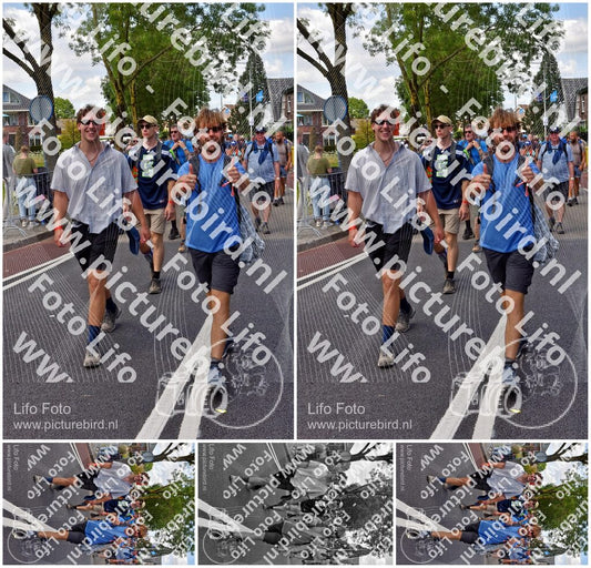 Evenement foto: Nijmeegse Vierdaagse 847