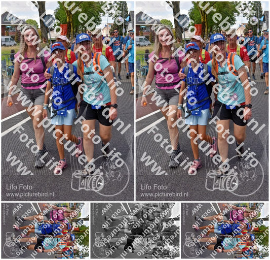 Evenement foto: Nijmeegse Vierdaagse 847