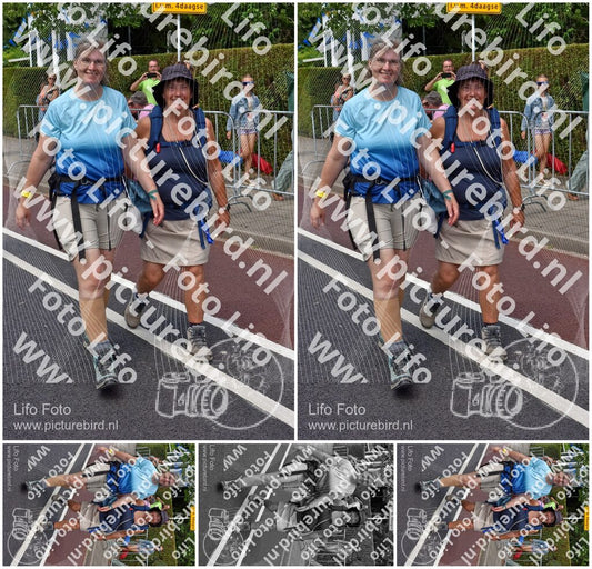 Evenement foto: Nijmeegse Vierdaagse 847