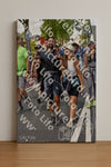 Evenement foto: Nijmeegse Vierdaagse 847