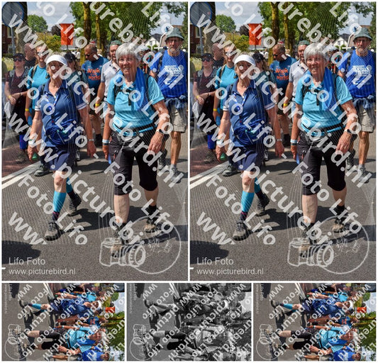 Evenement foto: Nijmeegse Vierdaagse 847