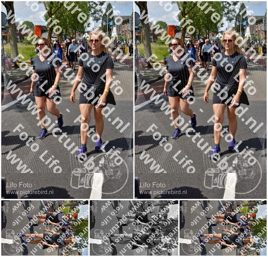 Evenement foto: Nijmeegse Vierdaagse 847