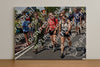 Evenement foto: Nijmeegse Vierdaagse 847