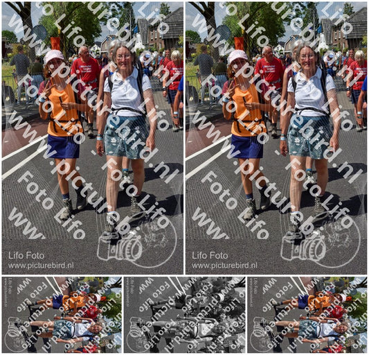 Evenement foto: Nijmeegse Vierdaagse 847