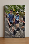 Evenement foto: Nijmeegse Vierdaagse 846