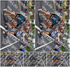 Evenement foto: Nijmeegse Vierdaagse 846