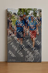 Evenement foto: Nijmeegse Vierdaagse 846