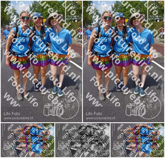 Evenement foto: Nijmeegse Vierdaagse 846