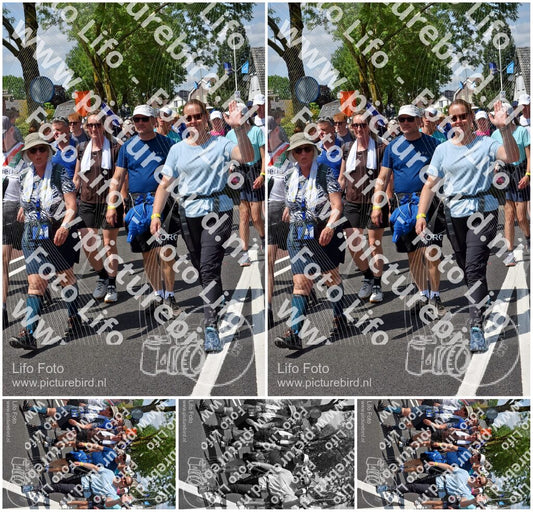Evenement foto: Nijmeegse Vierdaagse 846