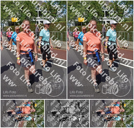 Evenement foto: Nijmeegse Vierdaagse 846