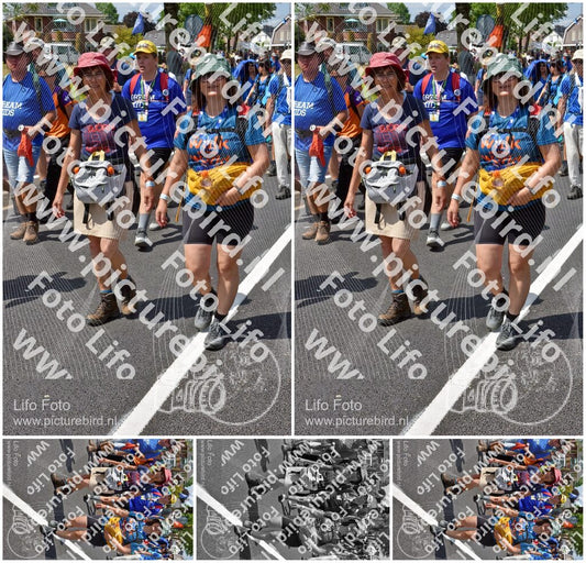 Evenement foto: Nijmeegse Vierdaagse 846