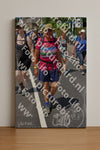 Evenement foto: Nijmeegse Vierdaagse 846