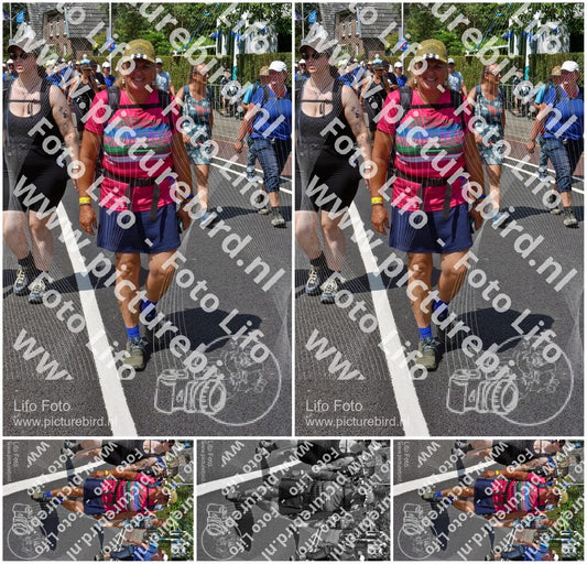 Evenement foto: Nijmeegse Vierdaagse 846